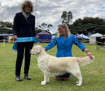 Aust Ch. Fernfall Fly Me To The Moon (Gracie)